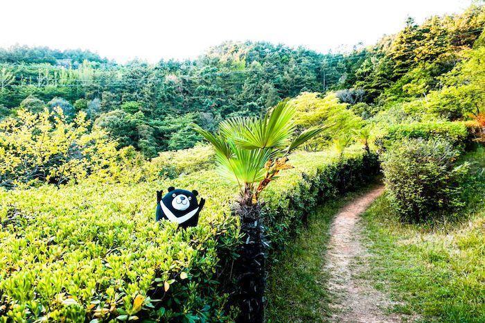 Pathway through lush forest scenery in Lee Sunshin Park, Tongyeong.