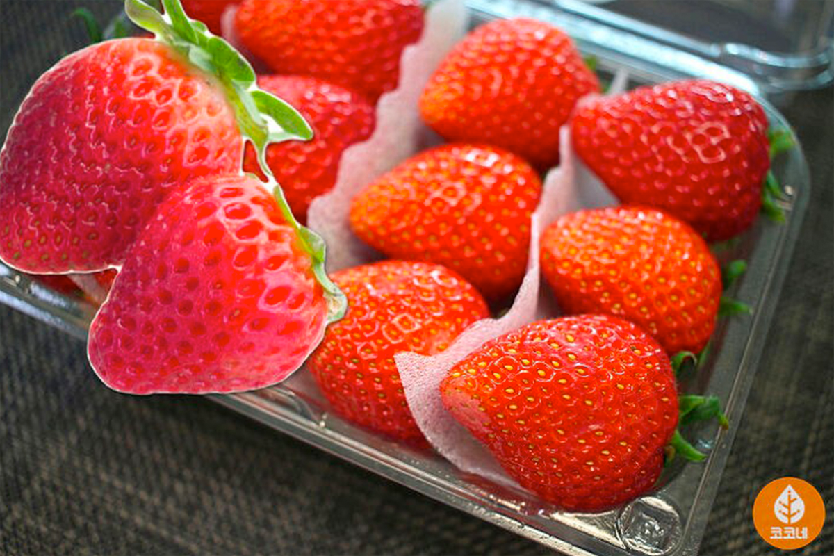 盒裝韓國士多啤梨特寫，展現紅嫩皮膚和綠色莖葉，呈現最佳選擇果實的標準。