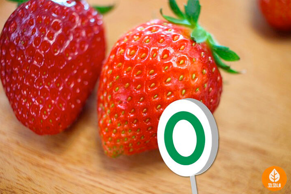 兩個士多啤梨並排，進行品味和外觀的對比分析，以識別優質選擇。