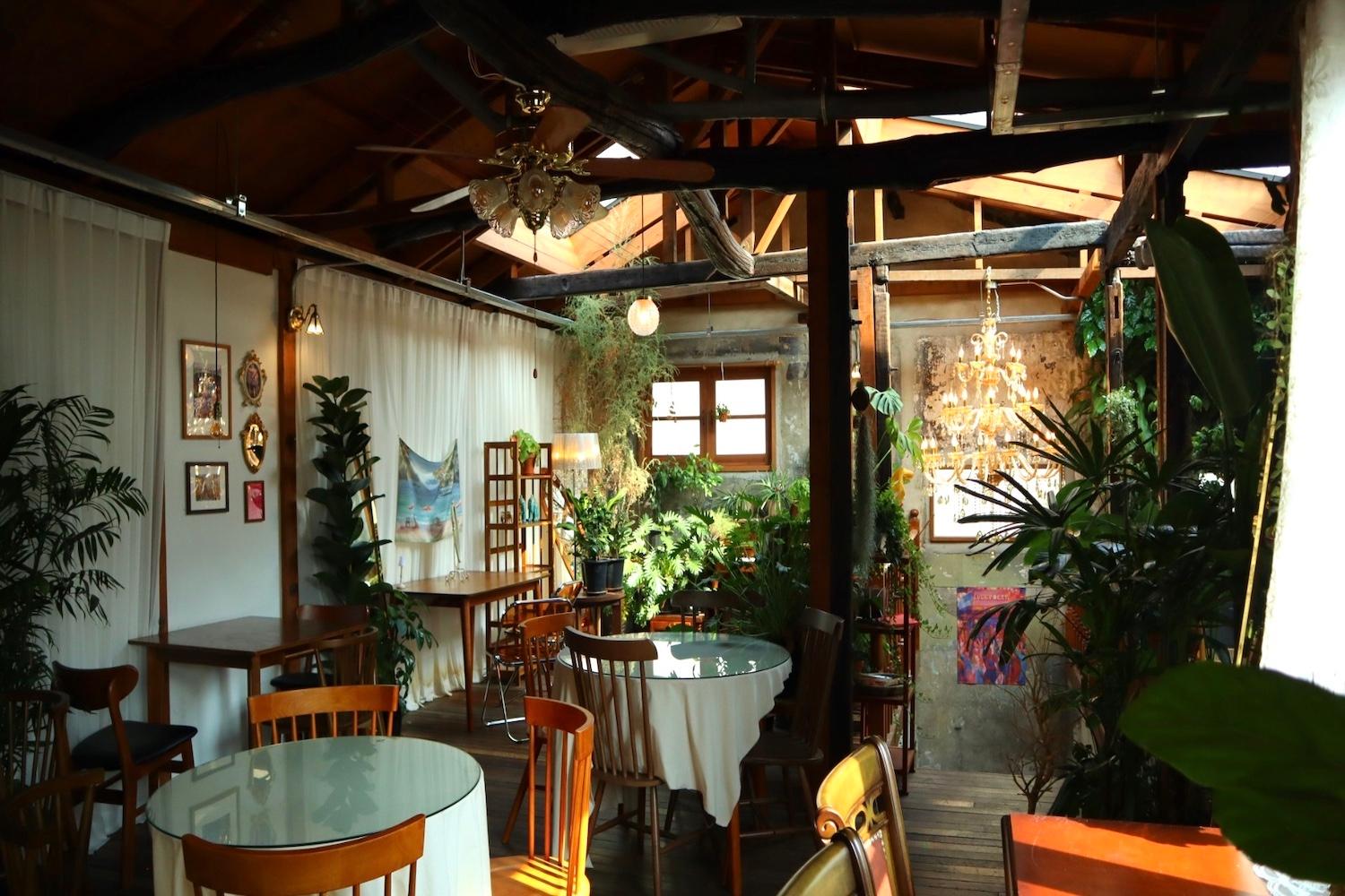 không gian xanh ở Scene Of Daehwa: Quán cafe đầy quyến rũ và nghệ thuật ở Daegu