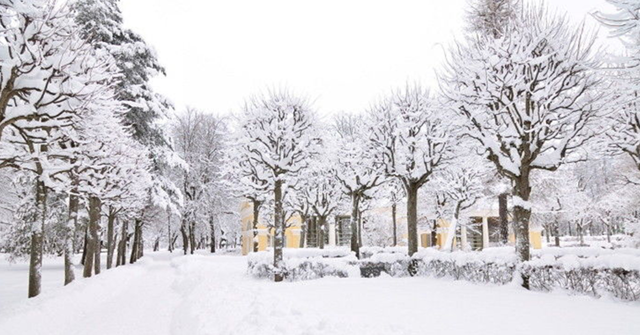 被白雪覆蓋的樹木和木屋，創造出寧靜的冬季仙境景象，展現聖誕節的浪漫氛圍。