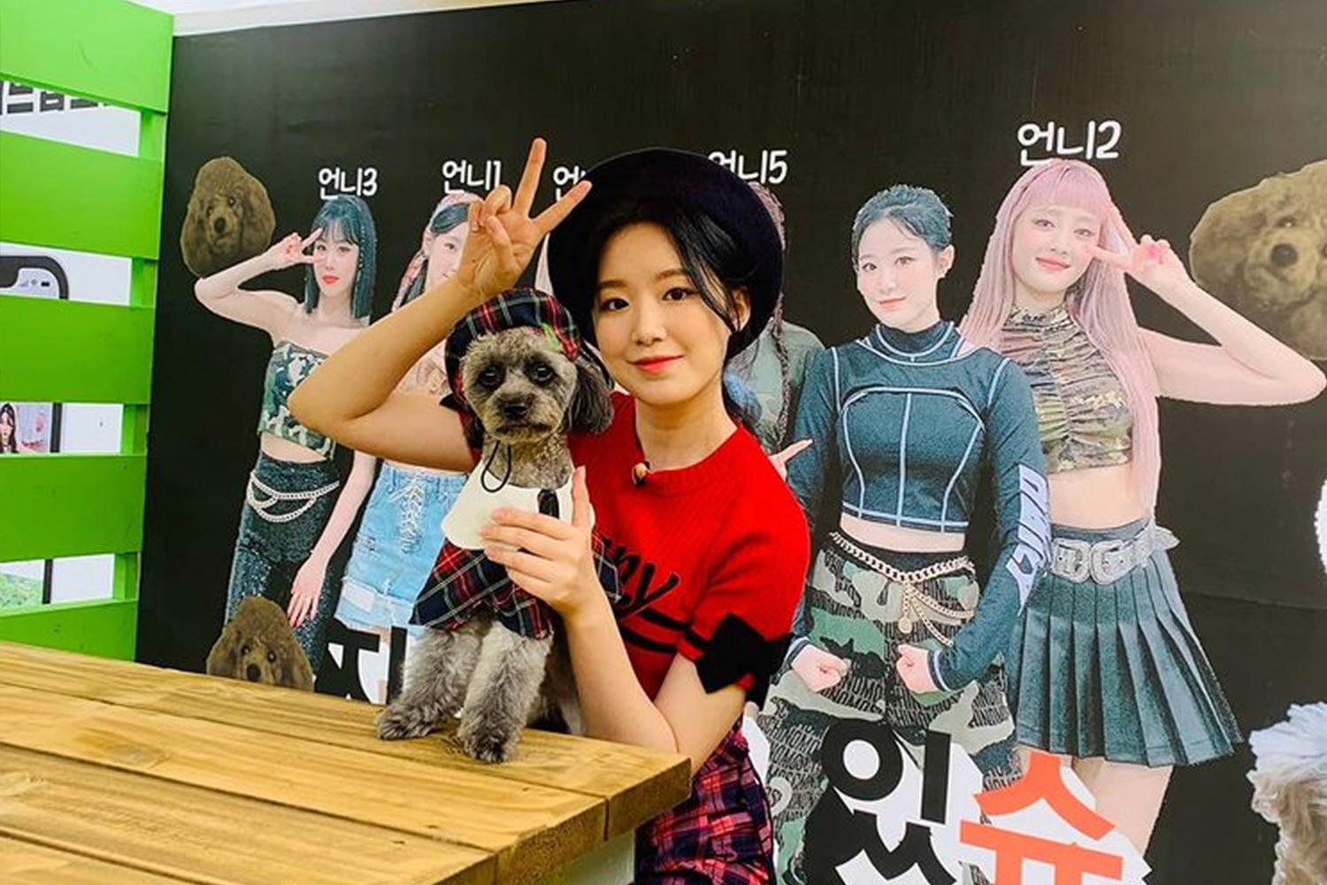 韓國K-Pop偶像與狗狗共同參加偶像狗狗運動會,創造不同尋常的運動比賽項目。