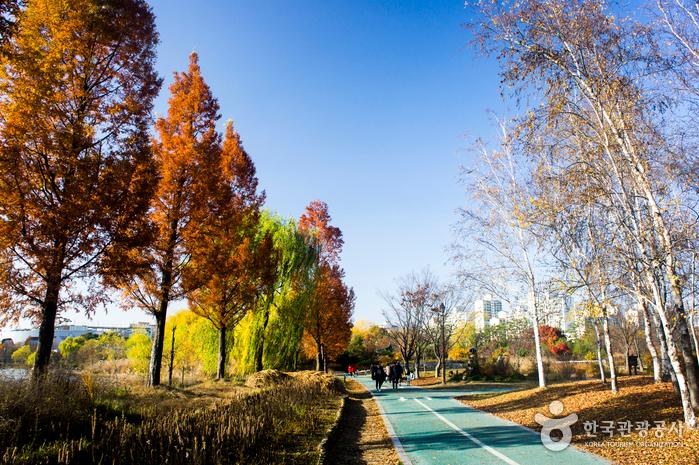 กิจกรรมที่สวนรอบทะเลสาบอิลซัน