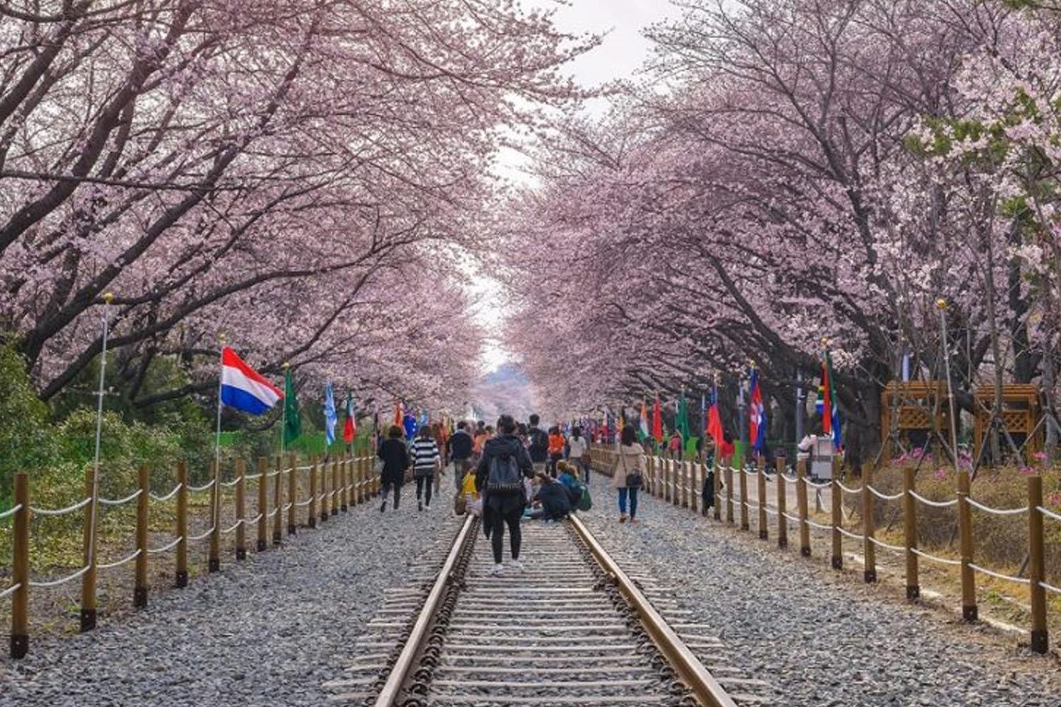 คนที่มีแฟนเป็นคนเกาหลีแต่ล่ะปีบินมาเกาหลีกี่ครั้งคะ? 