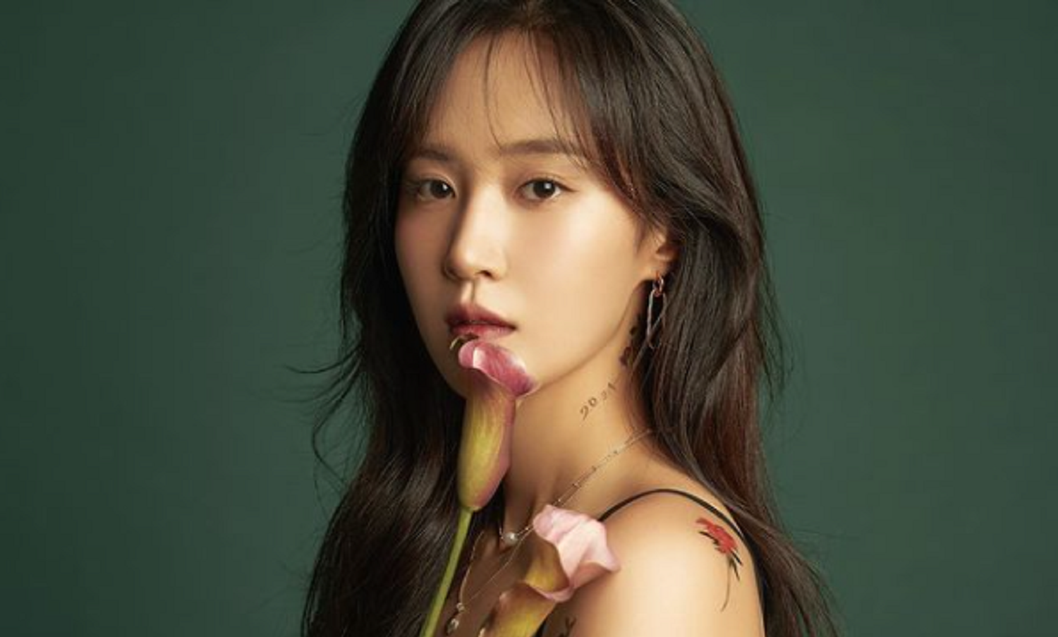 韓国芸能人 韓国アイドル 韓国俳優 韓国女優 K-POP 韓国芸能人資格