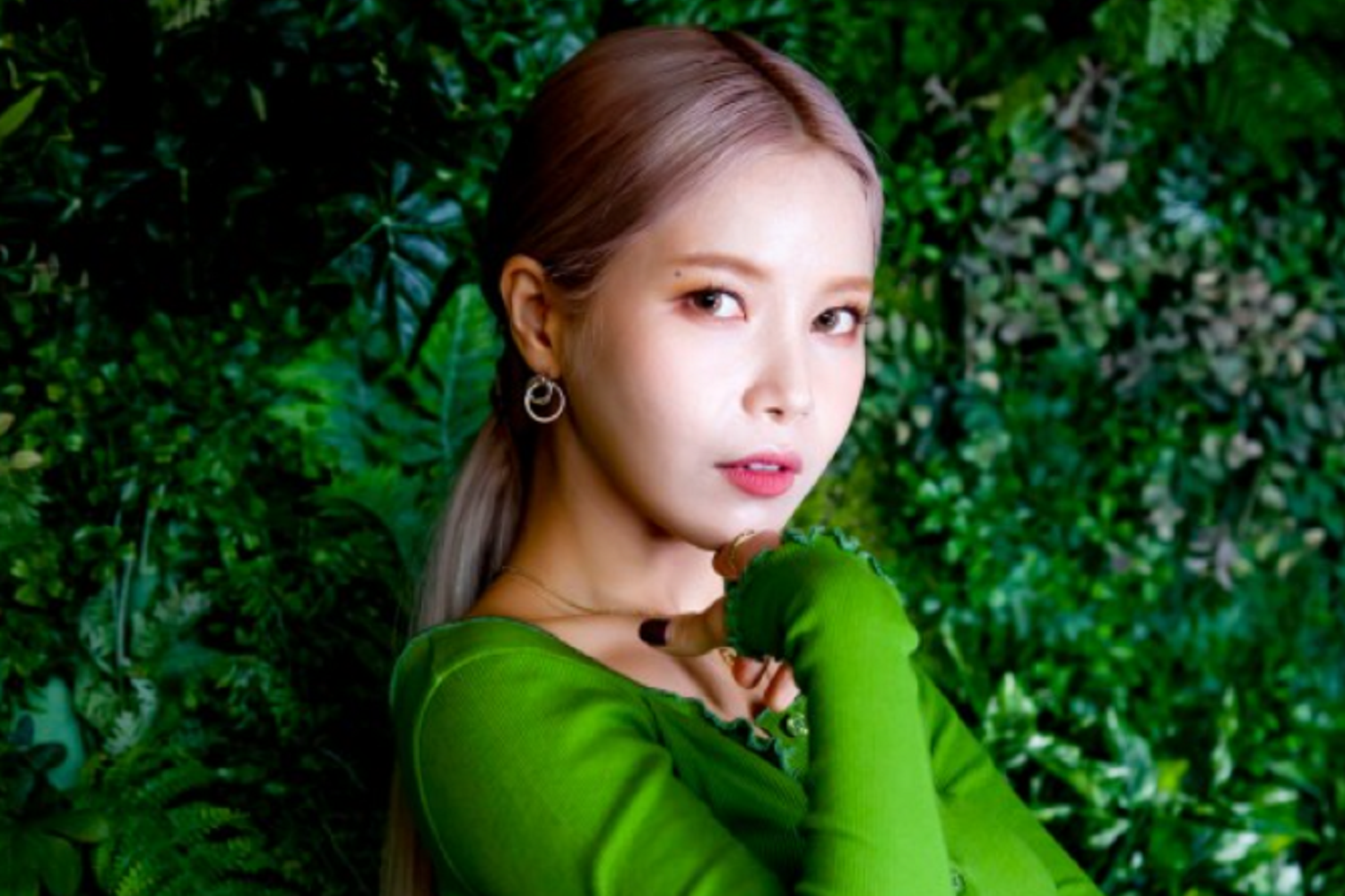 韓国芸能人 韓国アイドル 韓国俳優 韓国女優 K-POP 韓国芸能人資格