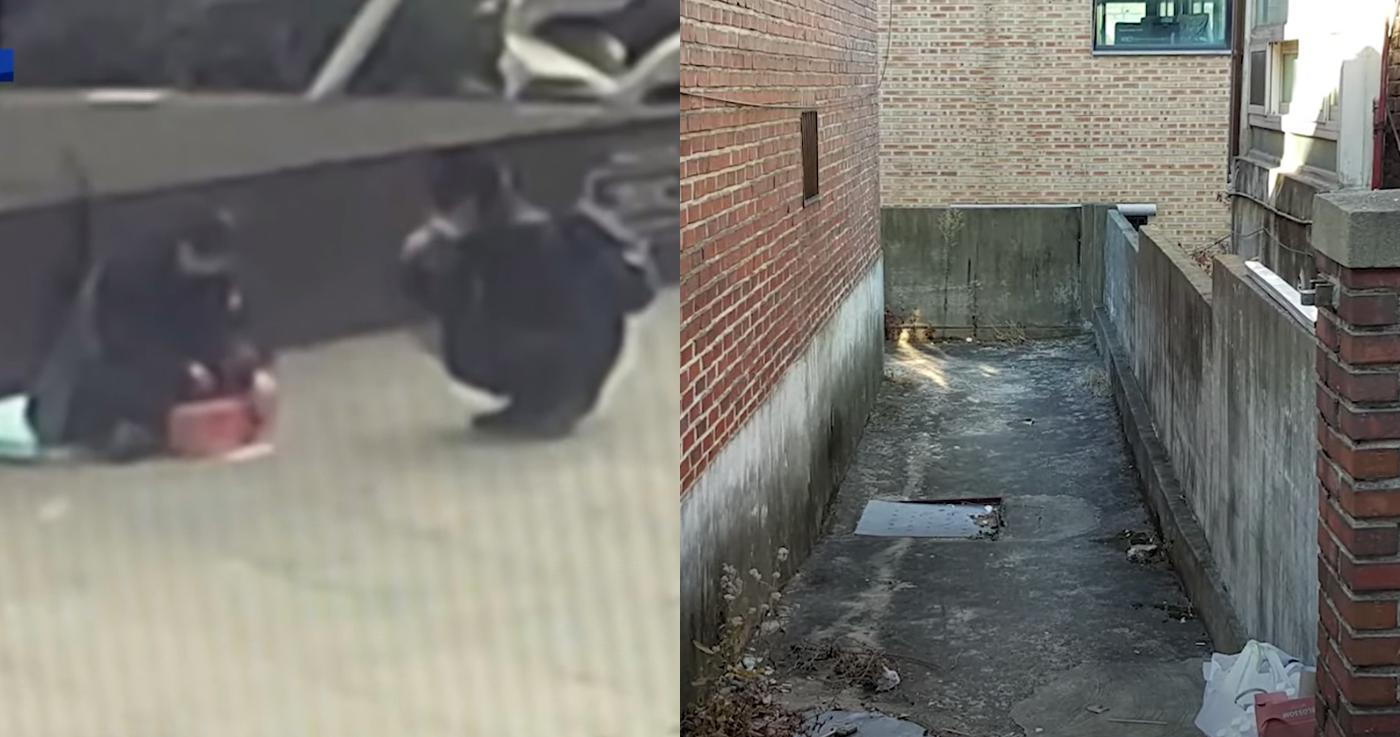 Смерть матери оставалась незамеченной обществом в течение нескольких месяцев, а ее сын-инвалид остался просить милостыню на улицах