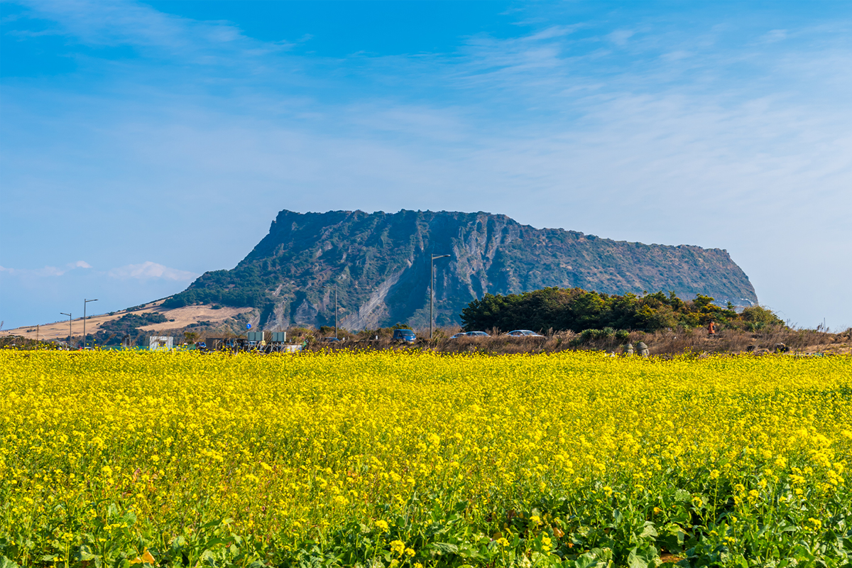 濟州挾才海水浴場一景，展現出海水的晶瑩剔透和海灘建築，吸引眾多遊客的優美旅遊地。