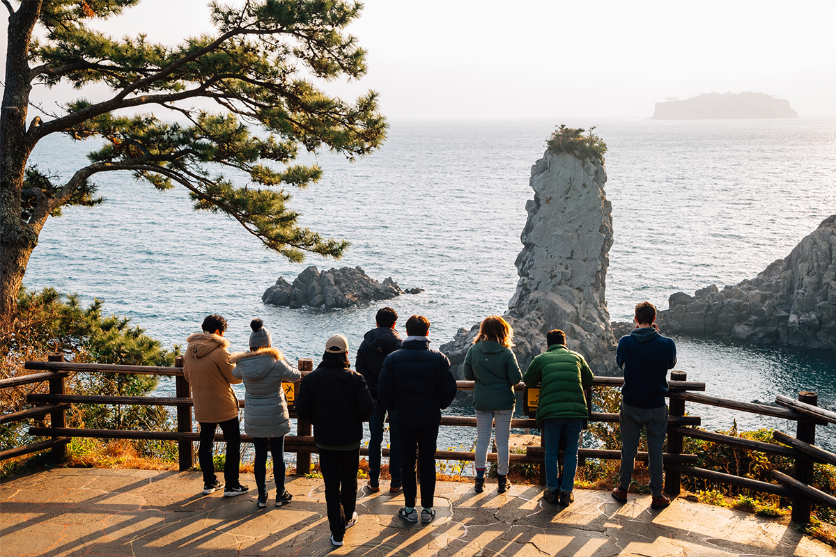 遊客在濟州的海岸線欣賞海景，前方峽谷和大海構成一幅自然的和諧畫面，顯示濟州吸引大量遊客的原因。