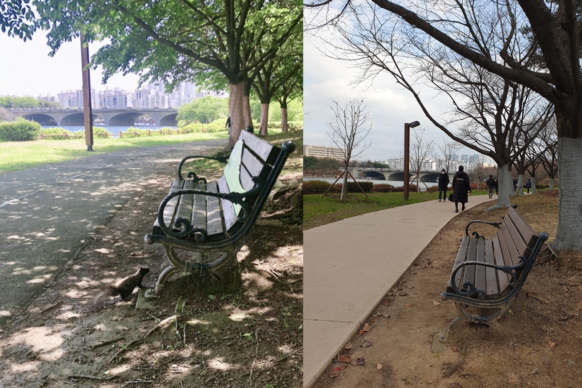 一條河邊長椅的對比照片，展示兩種不同季節的風景