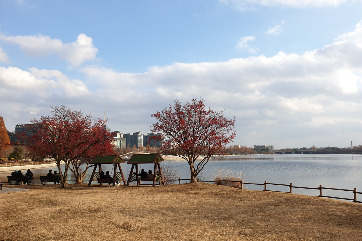 韓國一山湖水公園的自然風光照片，展示了湖水和樹木