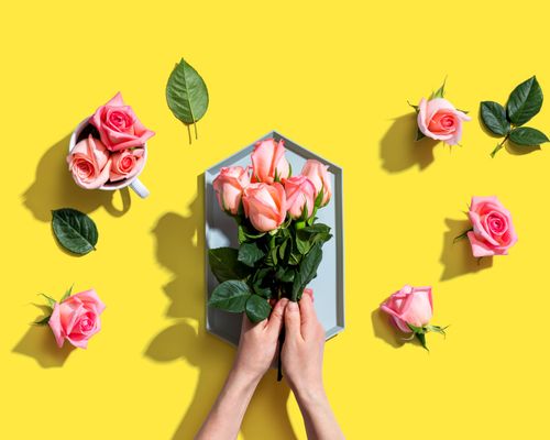 Creatrip 韓国の花