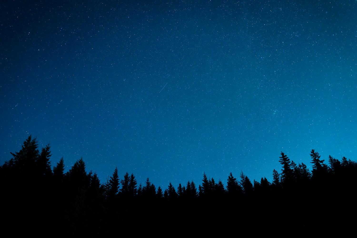 韓国文化、冬至、あずき粥、あずき餅、韓国生活