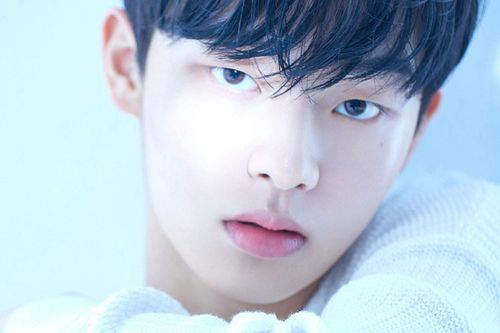 Creatrip 最近話題の韓国イケメン俳優 Creatrip 最近話題の韓国イケメン俳優