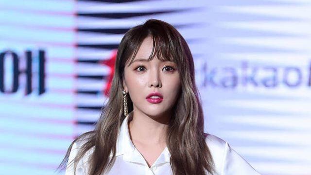 아티스트 홍진영의 학위 논문 표절 논란 관련 보도 이미지