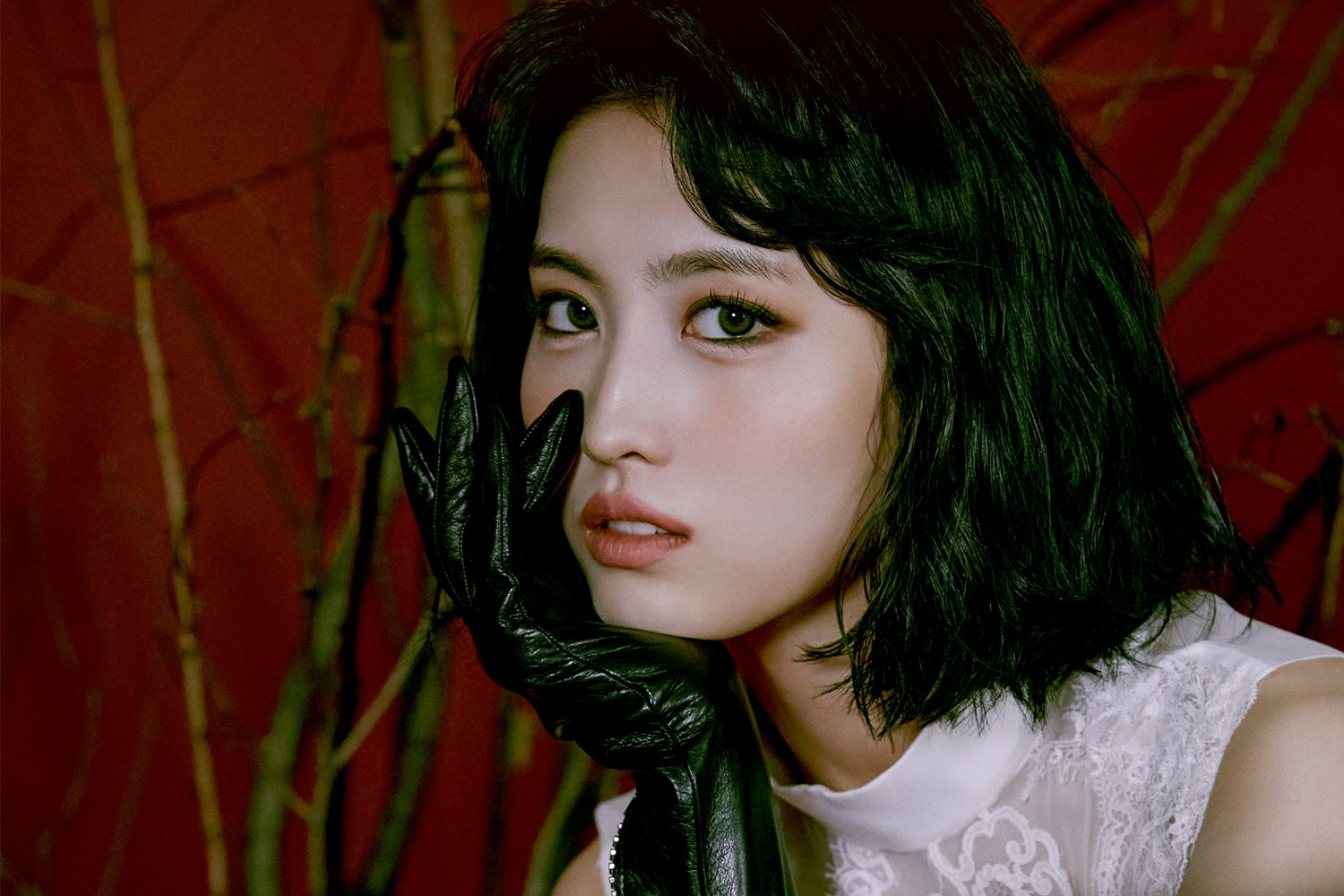 世界で最も美しい顔100人、世界で最もハンサムな顔100人、2025、2025年、韓国芸能、KPOP、韓国スター、韓国アイドル、韓国ニュース、BLACKPINK、Lisa、BTS、V