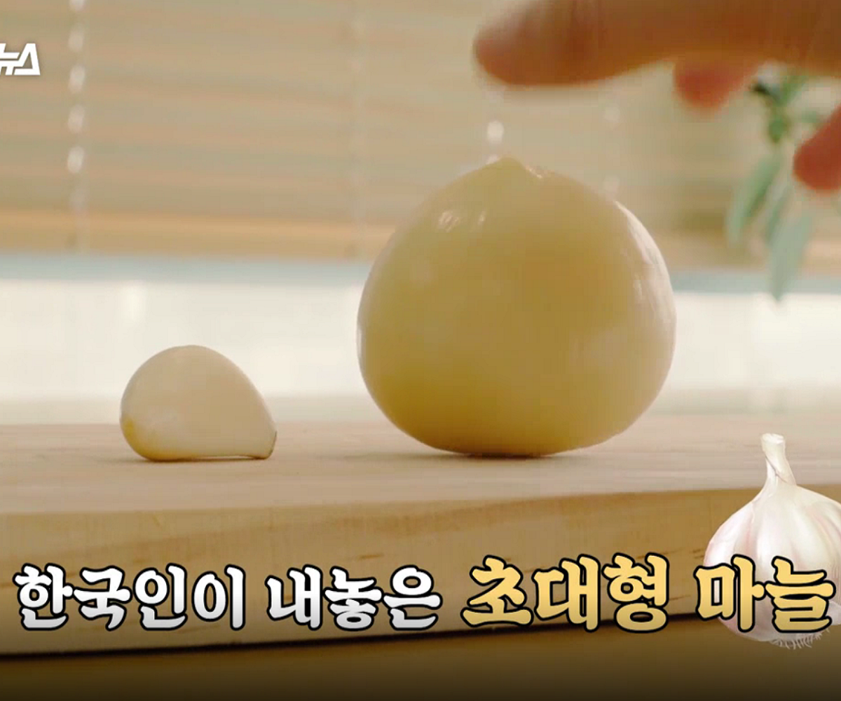 韓国、韓国人、韓国料理、韓国食材、にんにく、ニンニク、生にんにく