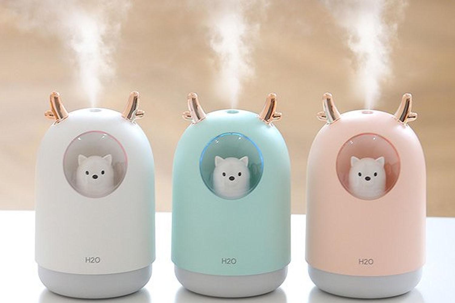 สำหรับคนไทยอาจไม่คุ้นเคยกับที่ทำความชื่น 