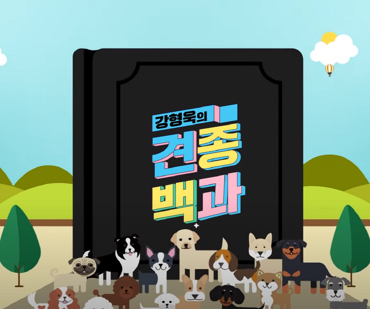 韓国、韓国社会、韓国文化、韓国ペット、韓国愛犬、韓国ペット文化、カン・ヒョンウク、レッドベルベット、Red Velvet、Joy、ジョイ、犬は素晴らしい、韓国番組、犬統領、ポドゥム、韓国動物訓練士、韓国企業家