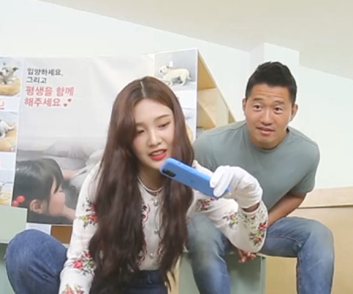 韓国、韓国社会、韓国文化、韓国ペット、韓国愛犬、韓国ペット文化、カン・ヒョンウク、レッドベルベット、Red Velvet、Joy、ジョイ、犬は素晴らしい、韓国番組、犬統領、ポドゥム、韓国動物訓練士、韓国企業家