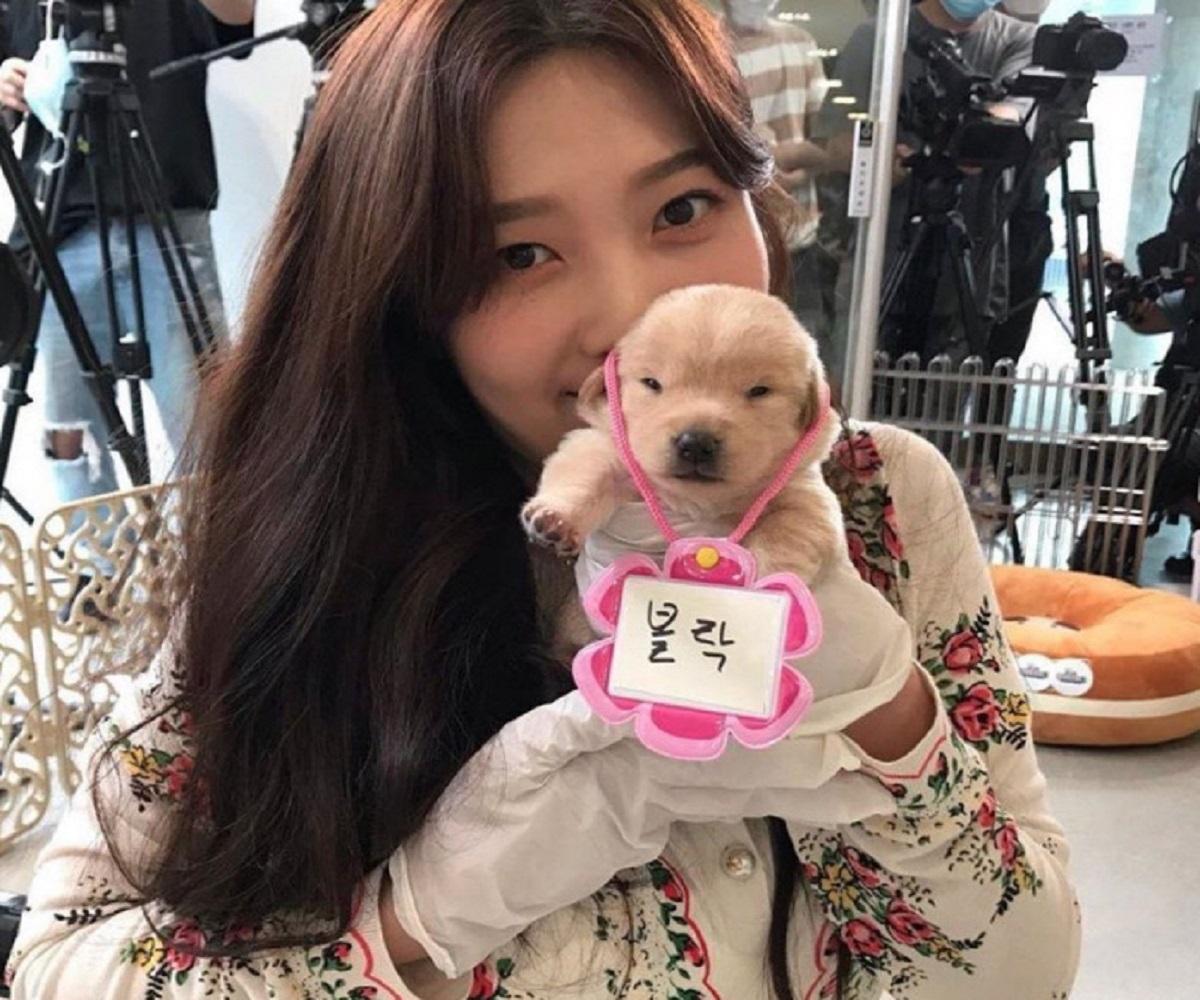 韓国、韓国社会、韓国文化、韓国ペット、韓国愛犬、韓国ペット文化、カン・ヒョンウク、レッドベルベット、Red Velvet、Joy、ジョイ、犬は素晴らしい、韓国番組、犬統領、ポドゥム、韓国動物訓練士、韓国企業家