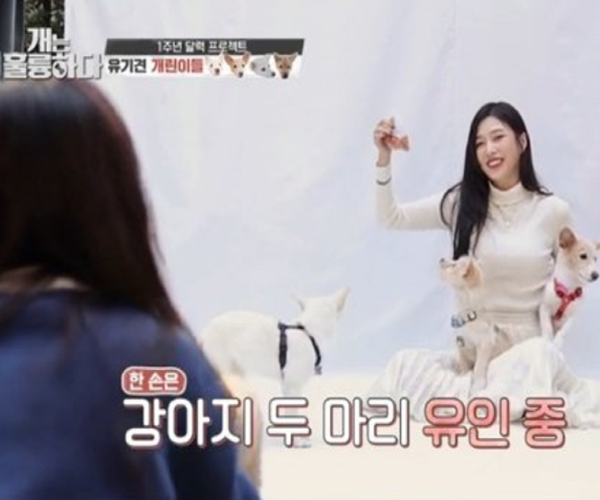 韓国、韓国社会、韓国文化、韓国ペット、韓国愛犬、韓国ペット文化、カン・ヒョンウク、レッドベルベット、Red Velvet、Joy、ジョイ、犬は素晴らしい、韓国番組、犬統領、ポドゥム、韓国動物訓練士、韓国企業家