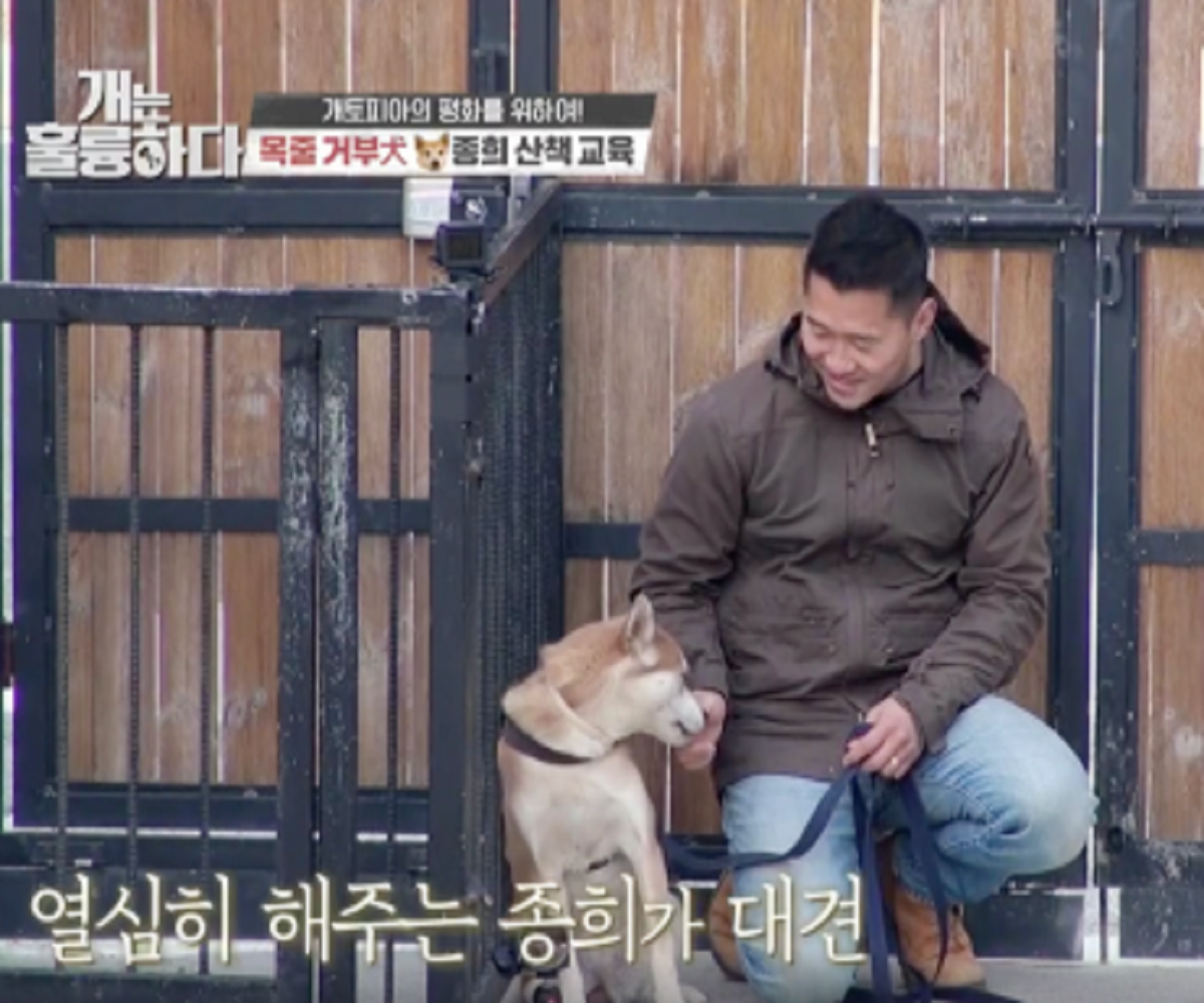 韓国、韓国社会、韓国文化、韓国ペット、韓国愛犬、韓国ペット文化、カン・ヒョンウク、レッドベルベット、Red Velvet、Joy、ジョイ、犬は素晴らしい、韓国番組、犬統領、ポドゥム、韓国動物訓練士、韓国企業家