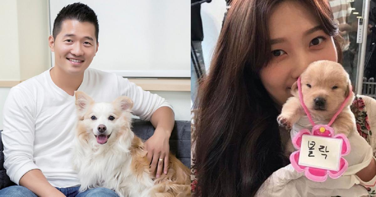 韓国で有名な犬統領とRed Velvetジョイの奇跡