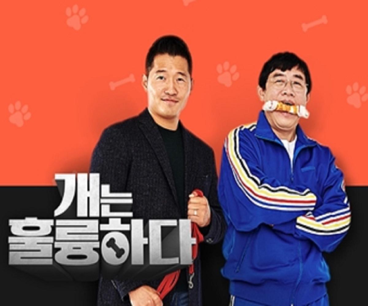 韓国、韓国社会、韓国文化、韓国ペット、韓国愛犬、韓国ペット文化、カン・ヒョンウク、レッドベルベット、Red Velvet、Joy、ジョイ、犬は素晴らしい、韓国番組、犬統領、ポドゥム、韓国動物訓練士、韓国企業家