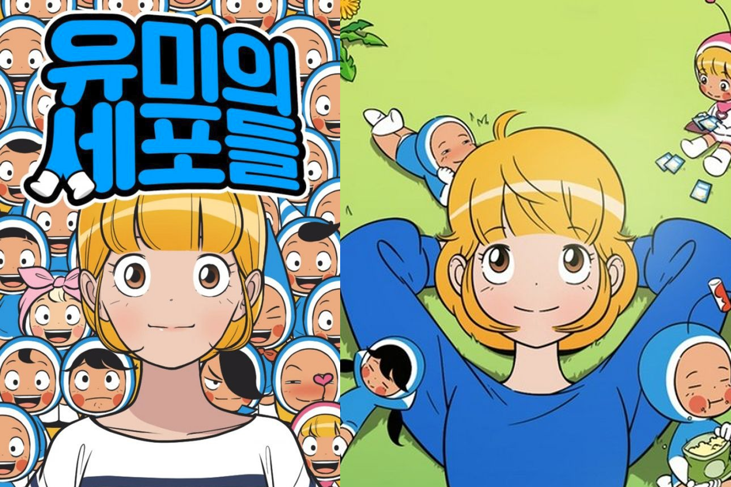 柔美的細胞小將漫畫封面, 描述人體細胞擬人化後對人行為的影響及在職場與愛情中的故事。