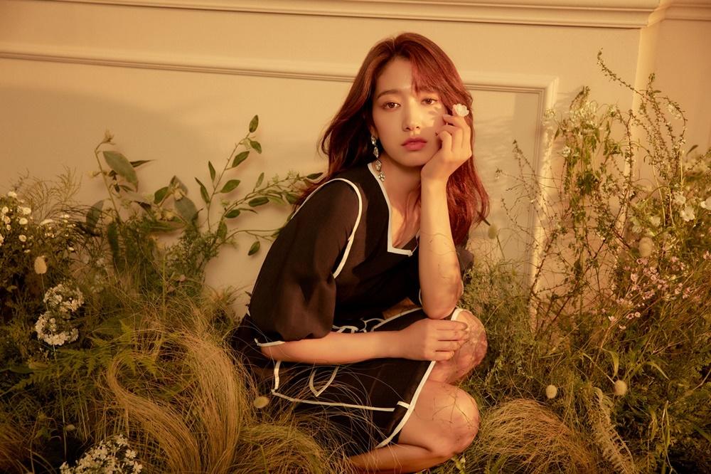 พัคชินเฮ (박신혜)