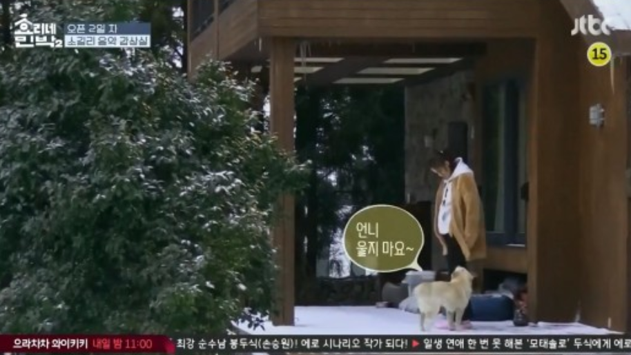 韓国芸能人、コンプレックス、韓国アイドル、KPOP、キムジウォン、シンミナ、アイユ、IU、ヒョナ、ソンジュンギ、ユナ、イムユナ、チャウヌ、ウヌ