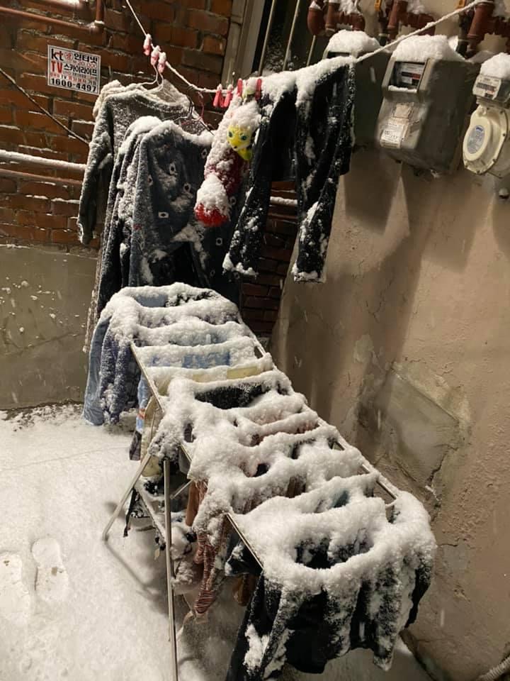 Quần áo bị phủ đầy tuyết do bị bỏ quên bên ngoài trong đợt lạnh kỷ lục ở Hàn Quốc, tạo ra cảnh tượng hiếm gặp trong mùa đông.