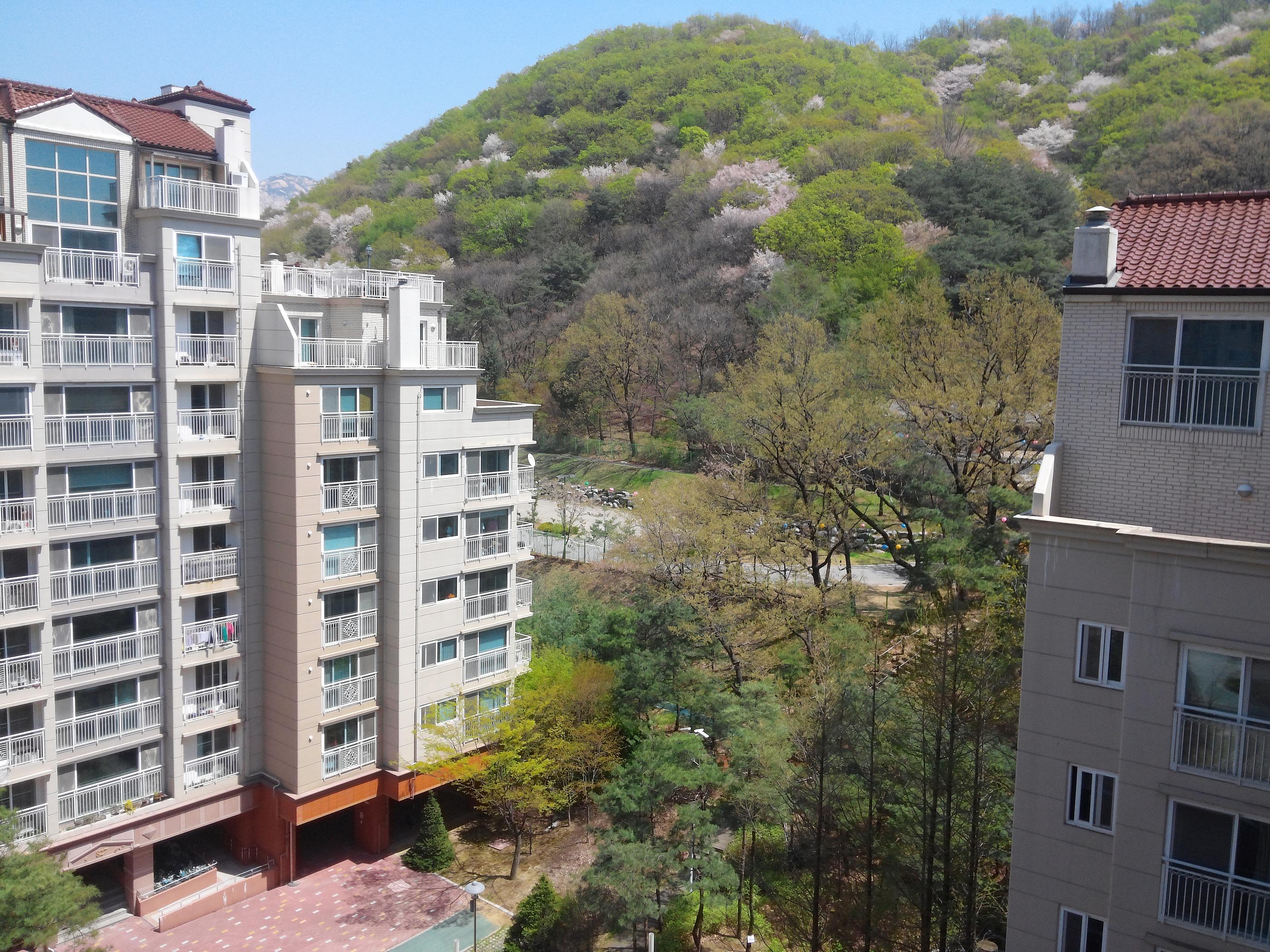 image of residential area of eunpyeong-gu in seoul korea with some green trees and shrubbery in the background
