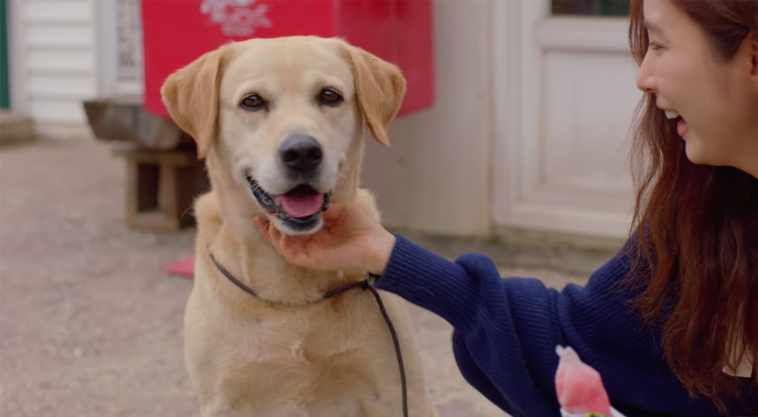 run on 奔向 愛情