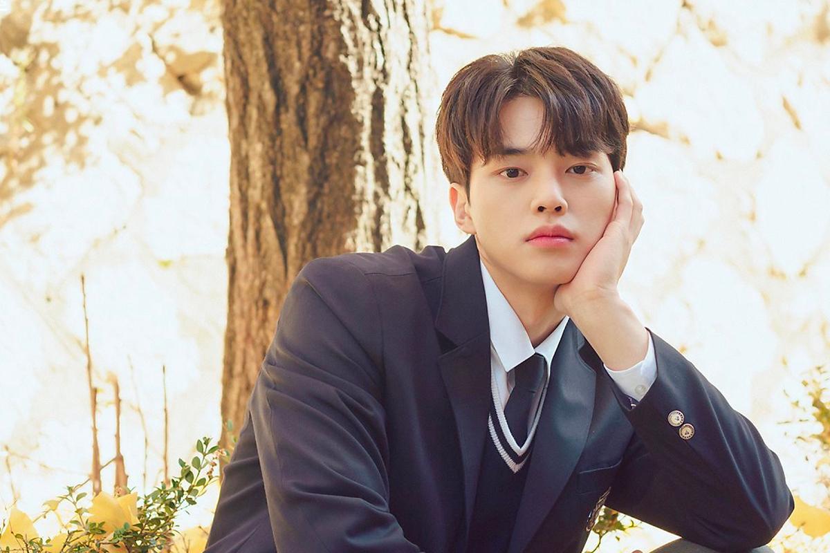 韓國演員宋江穿著灰色外衣，微笑俯身，背景是模糊的樹木和自然光影。