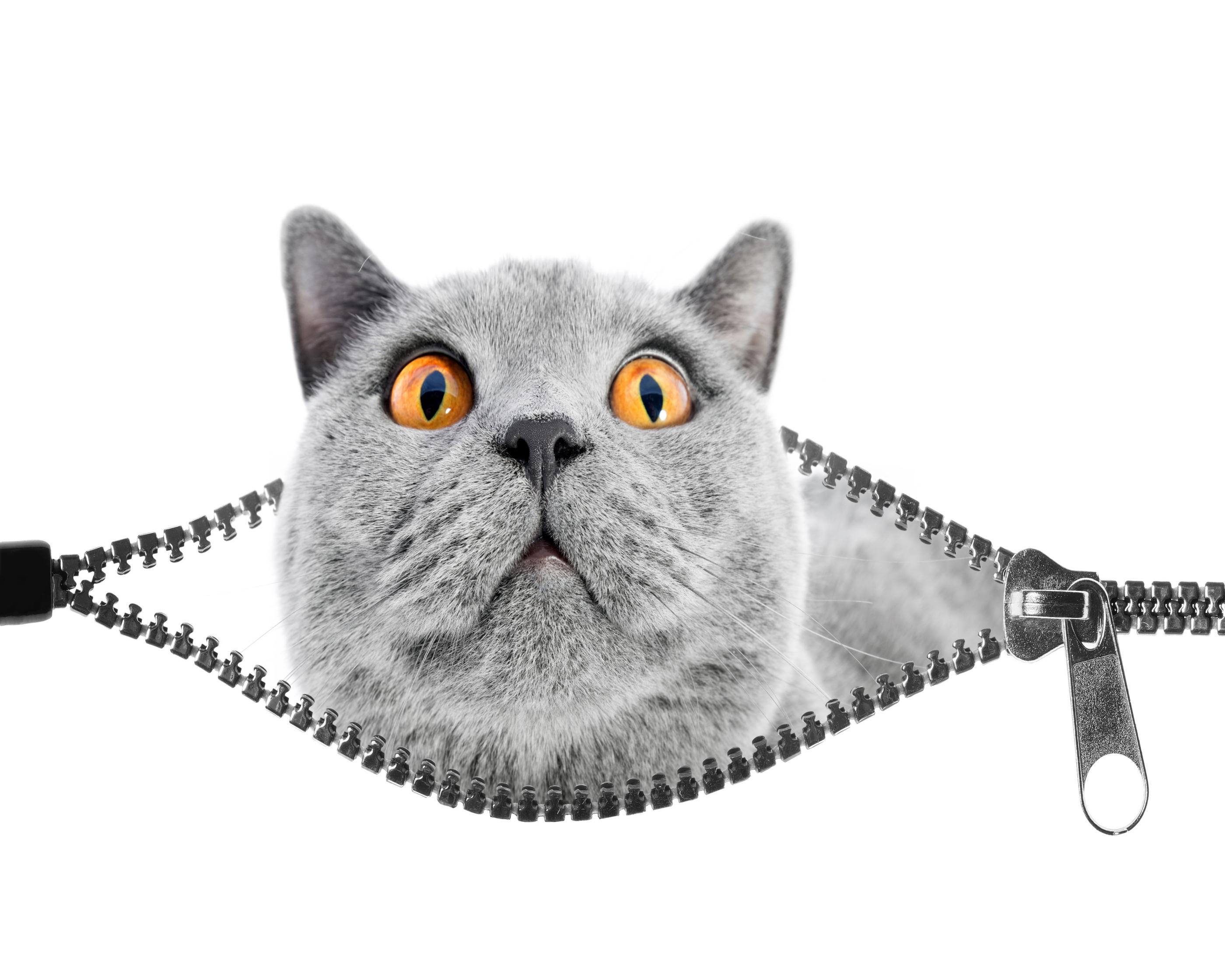 韓国文化、韓国、韓国ハグォン、韓国の塾、韓国の小学生