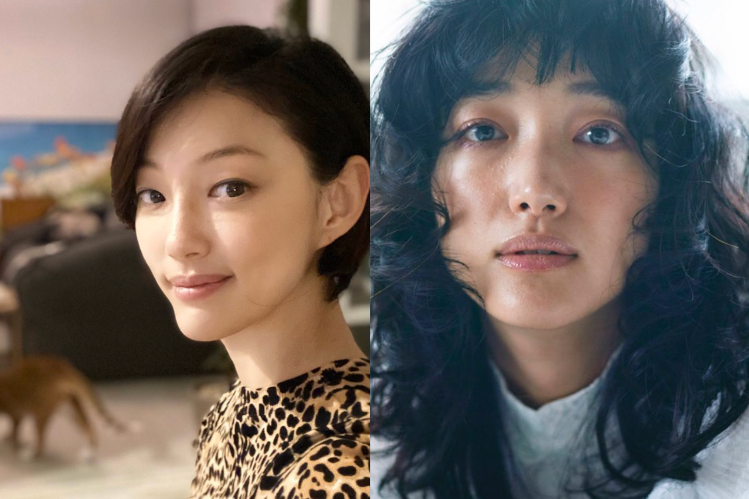 日韓比較,日韓,そっくり,似ている,俳優,アイドル,韓国アイドル,韓国俳優,K-pop