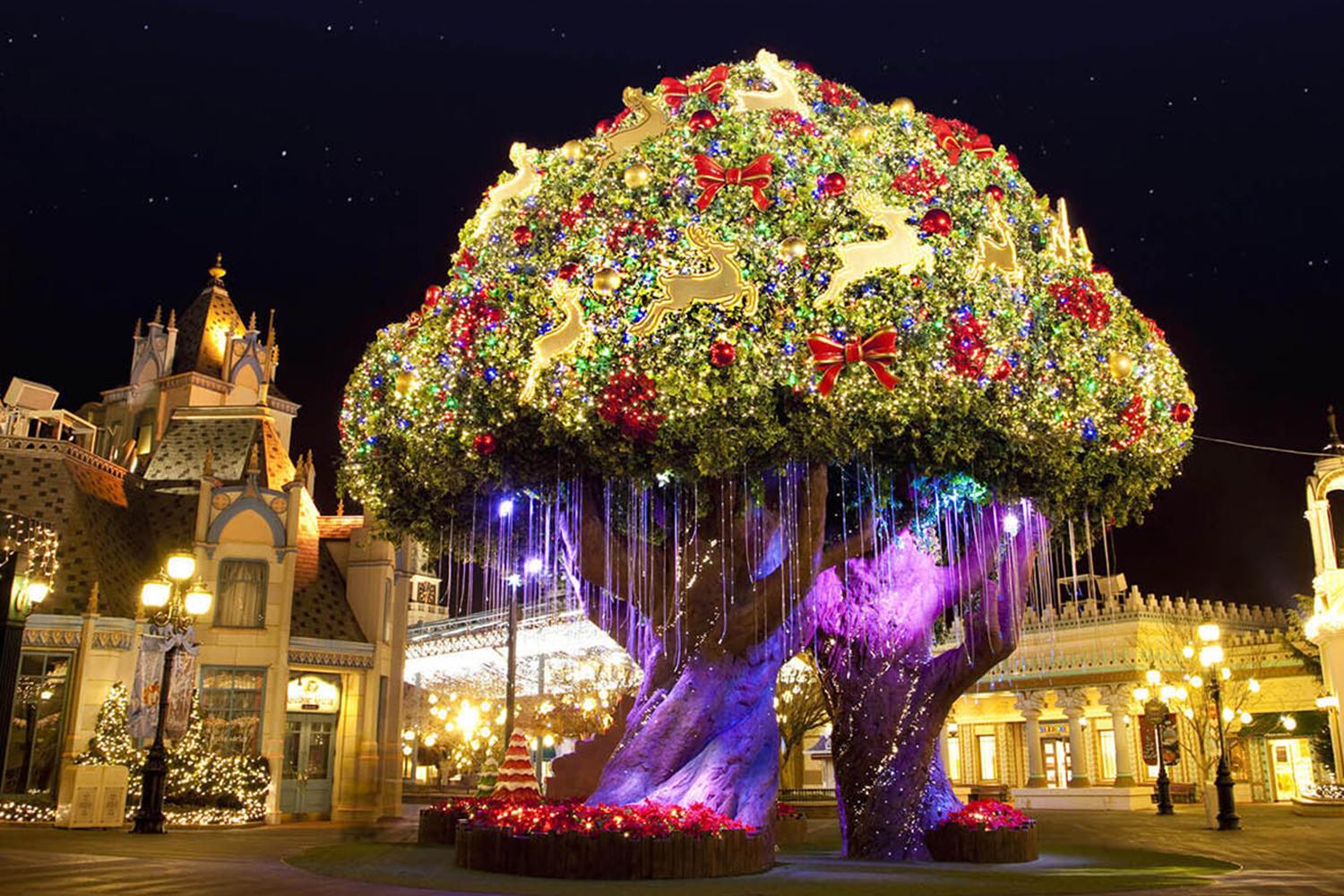 韓国学生,文化,韓国高校,韓国学生,制服,比較,韓国