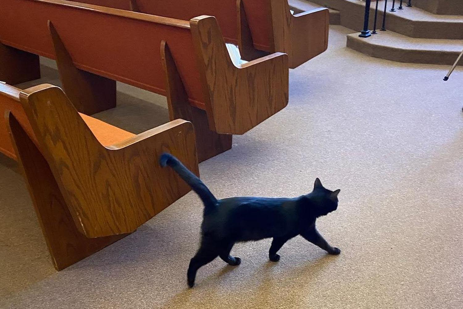 นอกจากนั้นยังพบผู้ที่ติดเชื้อหลังจากที่มีประวัติไปยังสถานที่ทางศาสนาดังกล่าวอีก 29 ราย