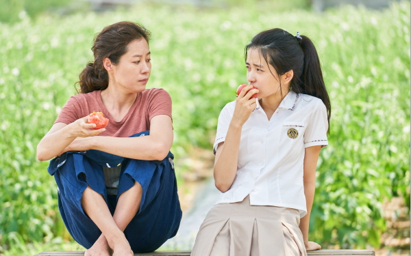ジョゼと虎と魚たち、遊びの時間は終らない、正しく生きよう、いま会いにゆきます、今会いに行きますリトルフォレスト、ゴールデンスランバー、鍵泥棒のメソッド、ラッキー、容疑者Xの献身、容疑者X、世界の中心で愛をさけぶ、波浪注意報、カンナさん大成功です!、美女はツライ、韓国映画、日本映画、リメイク、リメイク映画