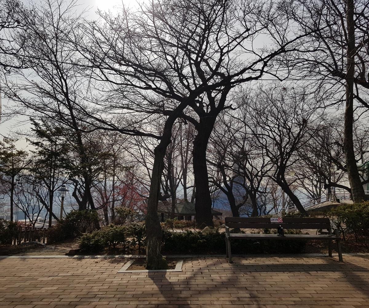 トッケビ、トッケビ撮影地、韓国ドラマ、トッケビツアー、トッケビ仁川、仁川、インチョン、インチョン観光、コン・ユ、イ・ドンウク、キム・ゴウン、ジ・ウンタク、トッケビロケ地