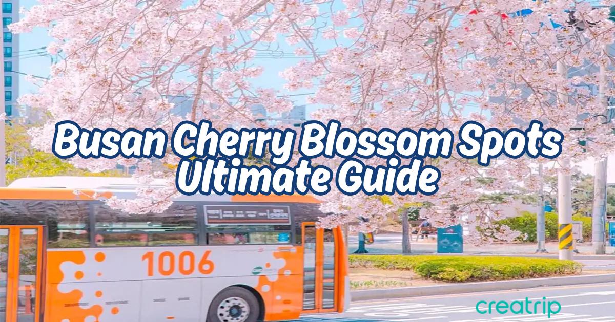 2025釜山賞櫻景點推薦