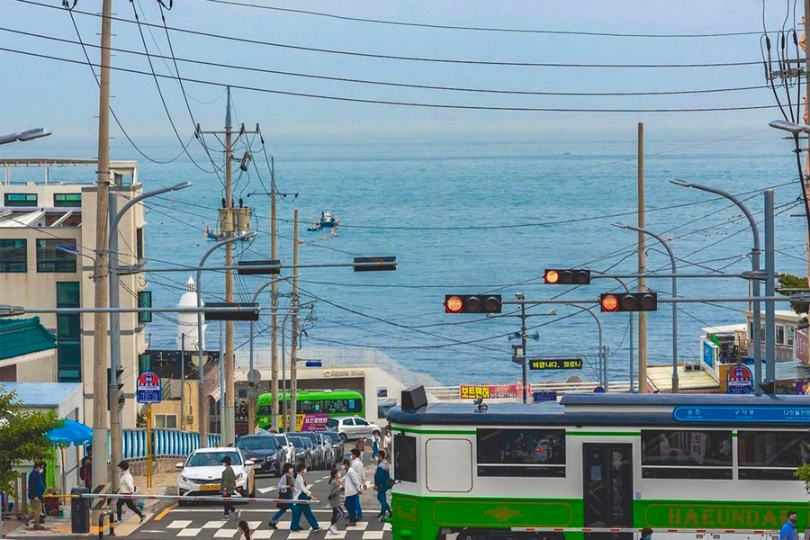 2025 韓國賞櫻景點 釜山賞櫻 釜山櫻花推薦景點