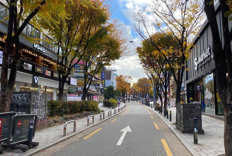 ソルラル期間中のソウルの静かな通り。木々が秋の色に染まり、穏やかな環境が広がっている。