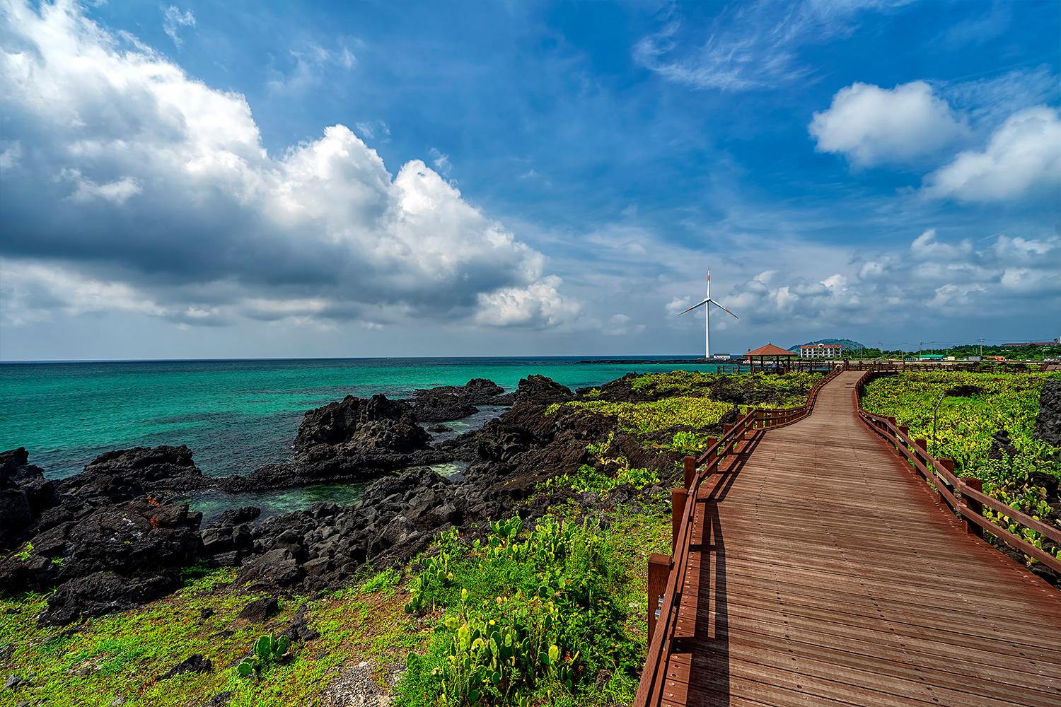 晴れた日にチェジュ島の自然の美しさと海岸沿いの歩道が見える風景写真
