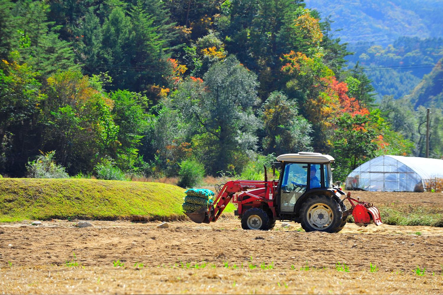 韓国江陵市近郊の田園風景。トラクターが畑で農作業をしている様子で、秋の風景が広がっています。