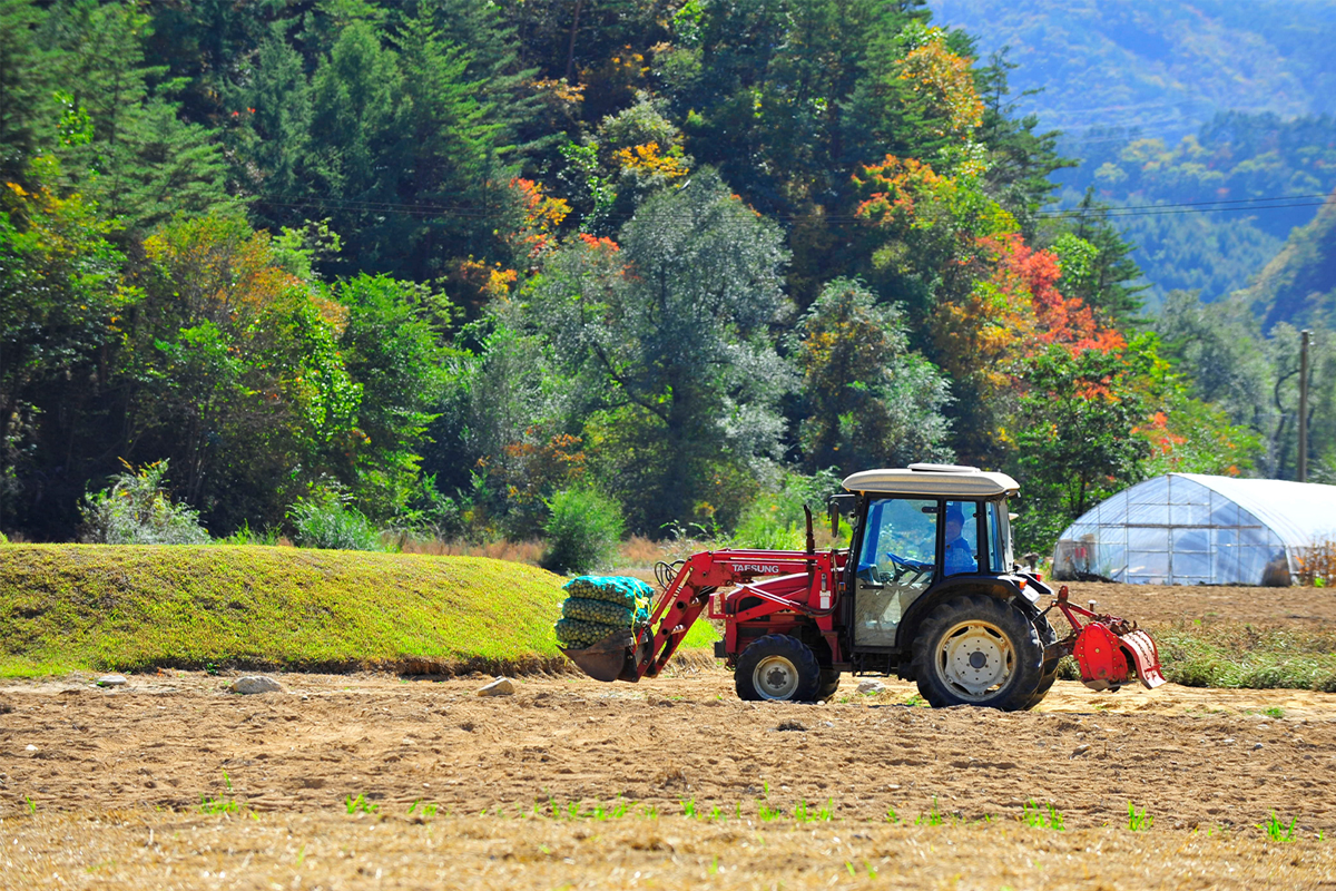 一輛拖拉機在江陵的農田工作，展示農村的田園風光。