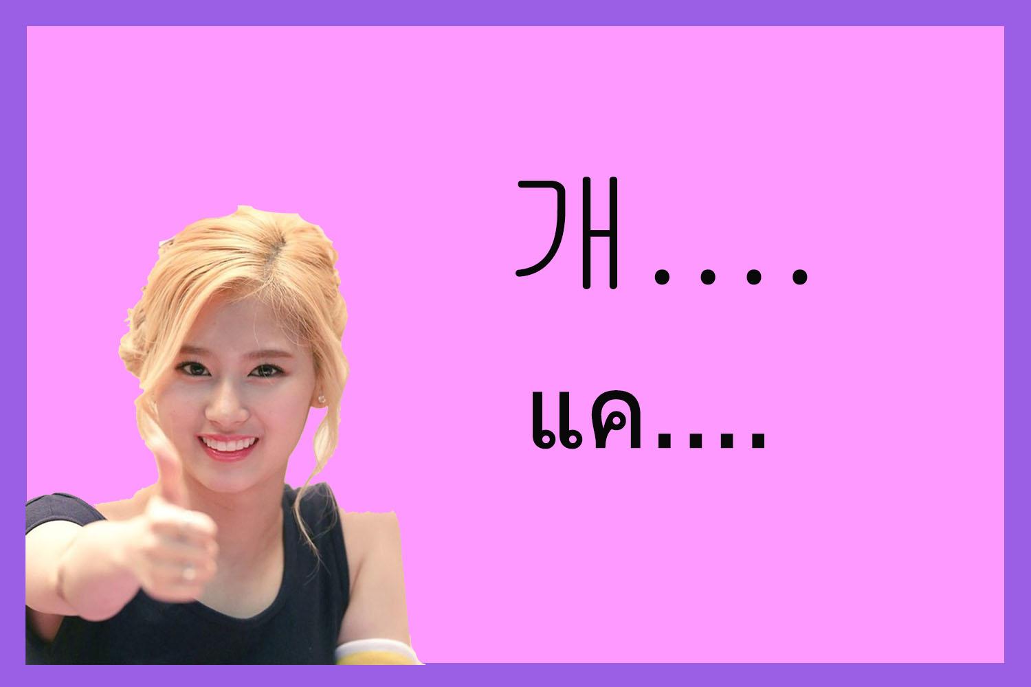 คำเกาหลี 개 หรือ แค ใช้ในบริบทที่เติมหน้าอย่างอื่น เช่น 개 귀엽다 เพื่อแสดงว่ามากๆ ไม่ได้หมายถึงสุนัขจริงๆ แต่เป็นการเพิ่มเติมความหมายที่ว่ามากๆ เข้าไป