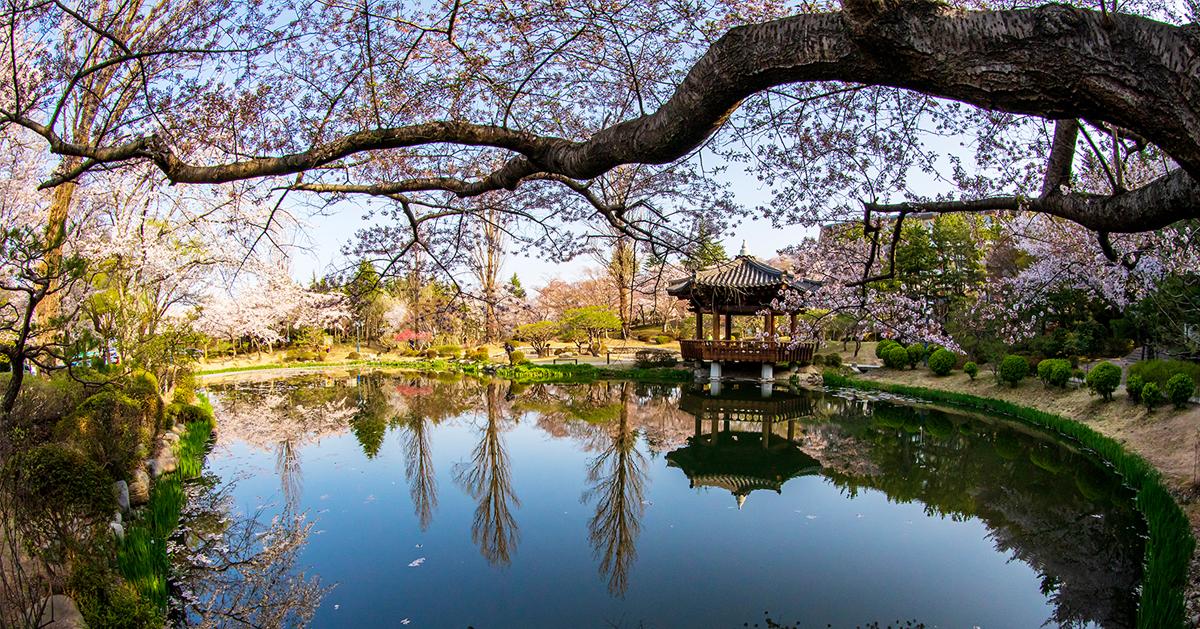 与我最合拍的城市/庆州